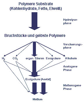 Methanbildung